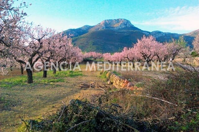 Byggegrund til salg i Alcalalí / Alcanalí - € 75.000 (Ref: 9755809)