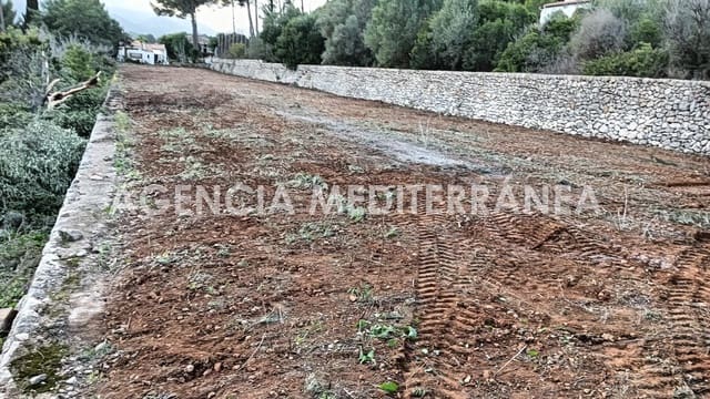 Byggegrund til salg i Alcalalí / Alcanalí - € 75.000 (Ref: 9755809)