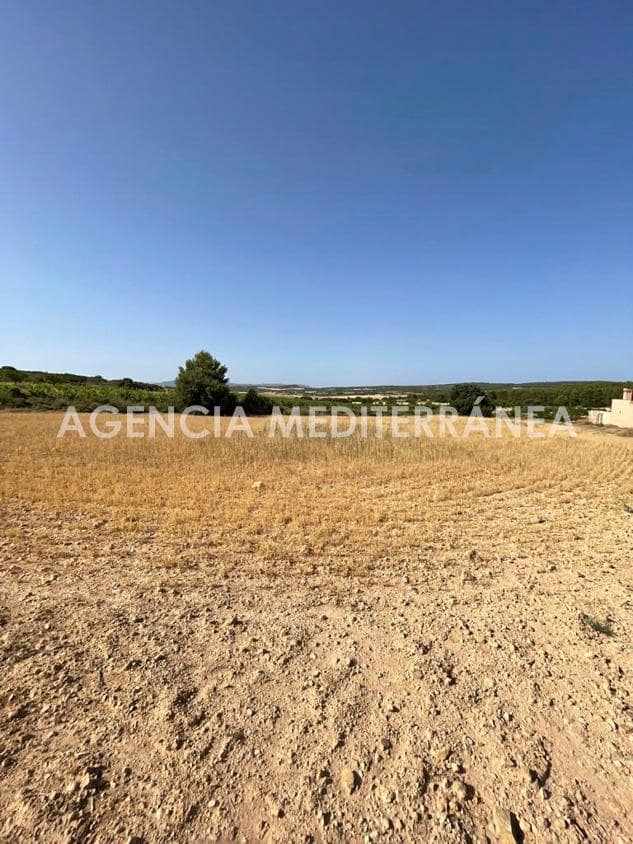 Finca/Casa Rural de 6 habitaciones en Almansa en venta con piscina garaje - 460.000 € (Ref: 9915919)