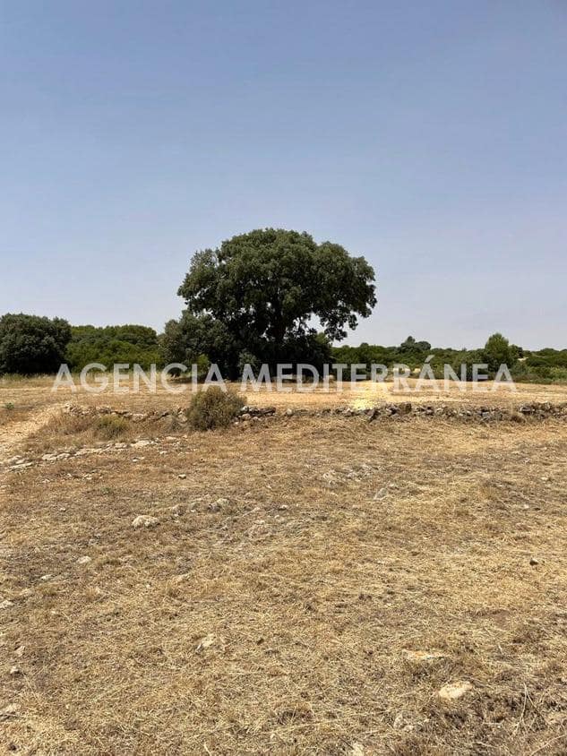 Finca/Casa Rural de 6 habitaciones en Almansa en venta con piscina garaje - 460.000 € (Ref: 9915919)