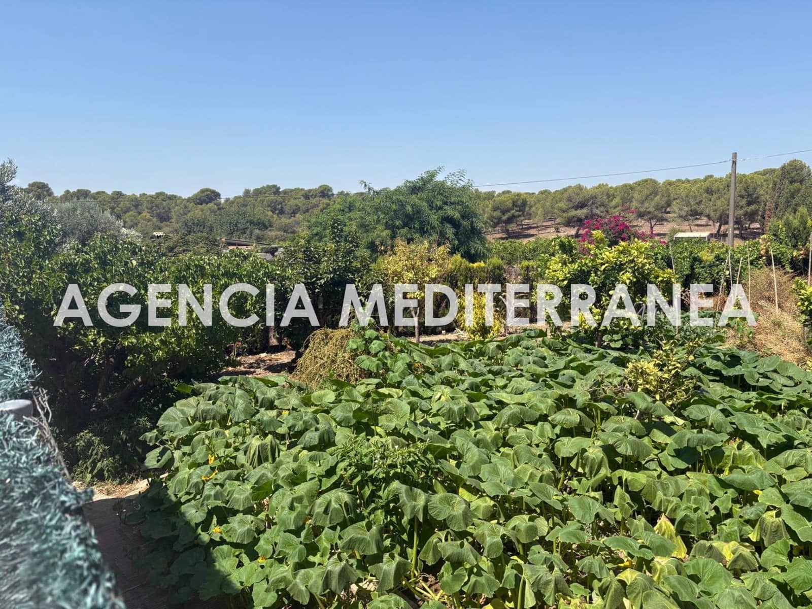 6 slaapkamer Finca/Landhuis te koop in Lliria met zwembad garage - € 299.000 (Ref: 9959853)