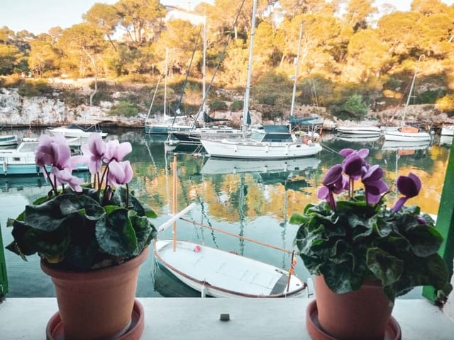 3 camera da letto Appartamento da affittare in Cala Figuera, Santanyí - 1.600 € (Rif: 10115531)