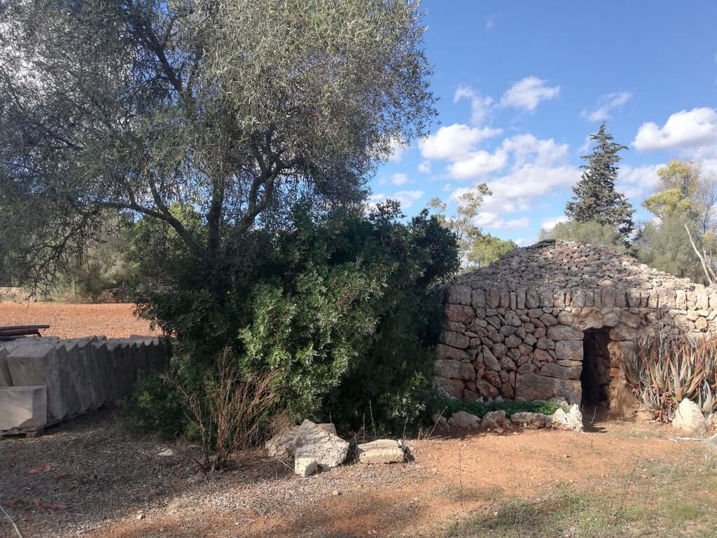 Grond te koop in Algaida - € 354.000 (Ref: 9968455)