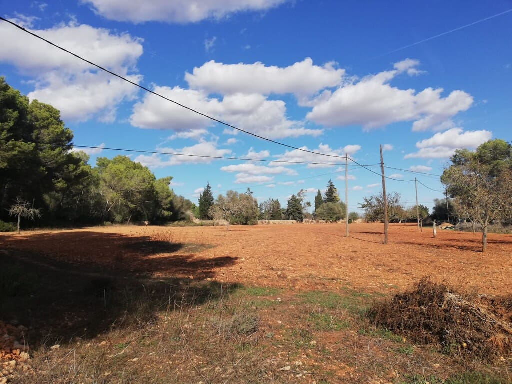 Grond te koop in Algaida - € 354.000 (Ref: 9968455)