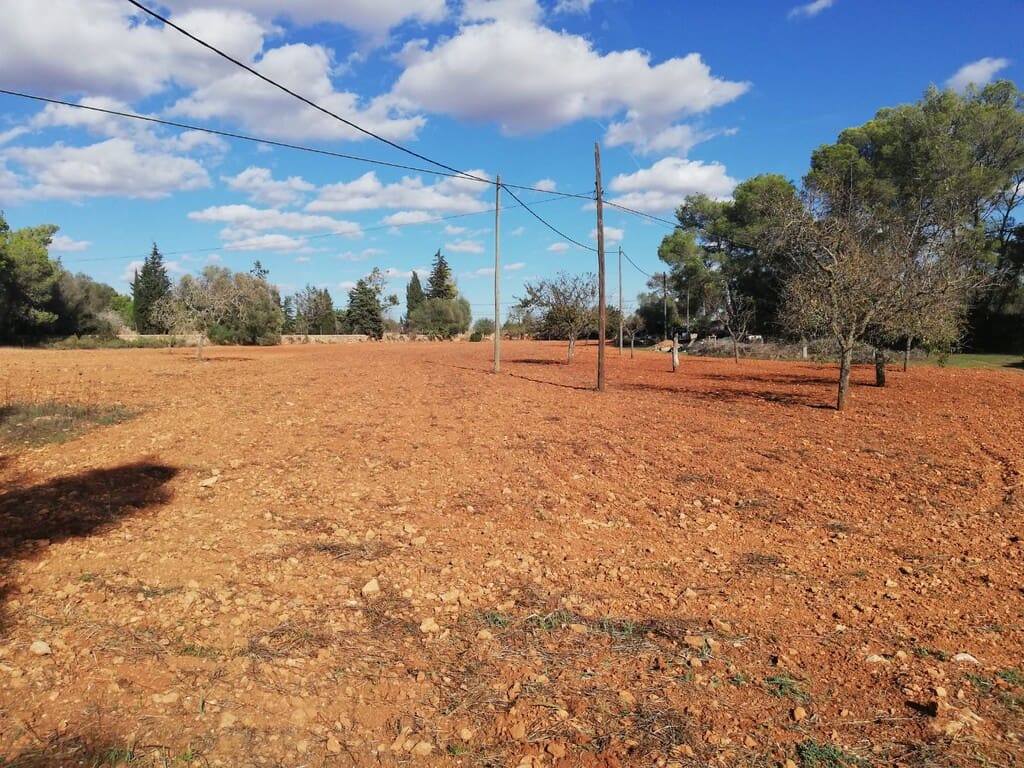 Grond te koop in Algaida - € 354.000 (Ref: 9968455)
