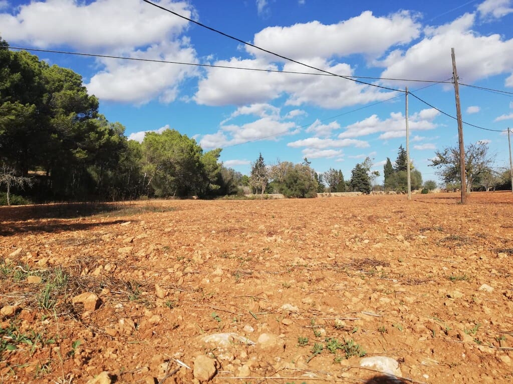Grond te koop in Algaida - € 354.000 (Ref: 9968455)