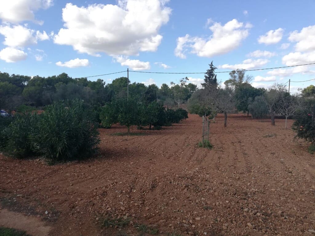 Grond te koop in Algaida - € 354.000 (Ref: 9968455)