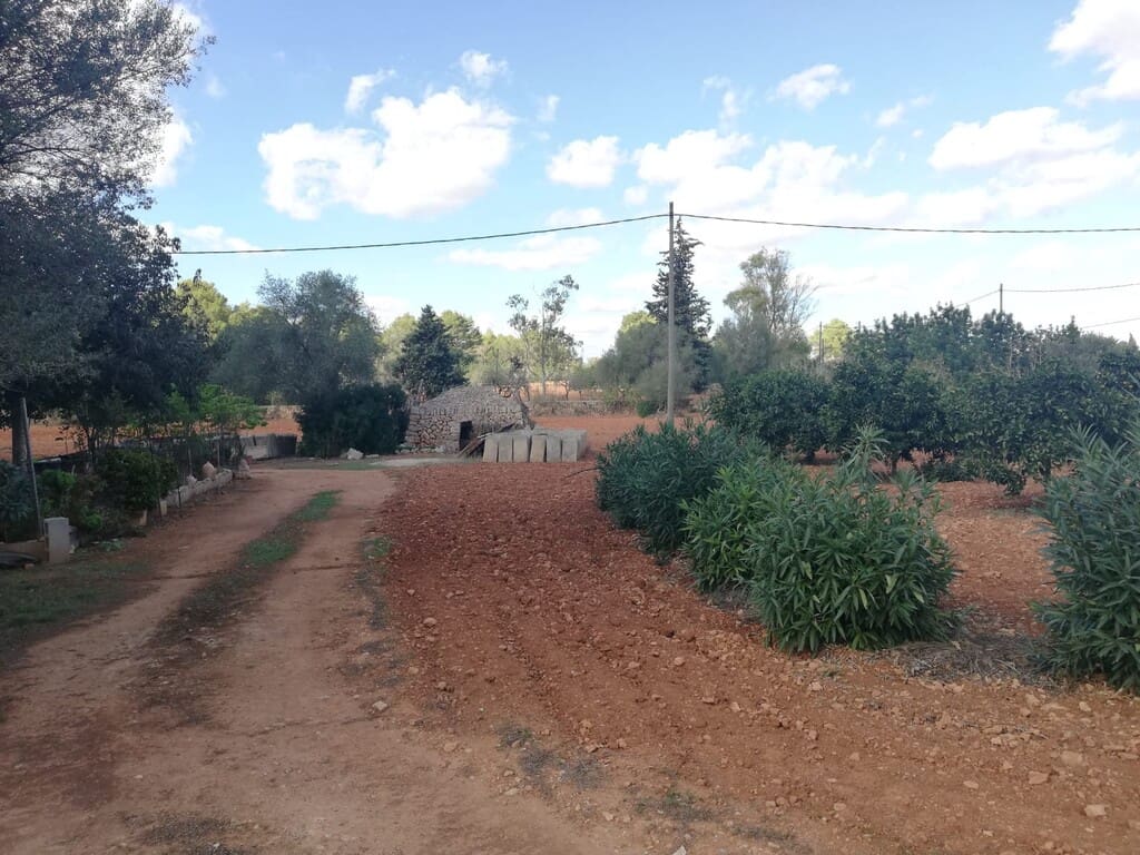 Grond te koop in Algaida - € 354.000 (Ref: 9968455)
