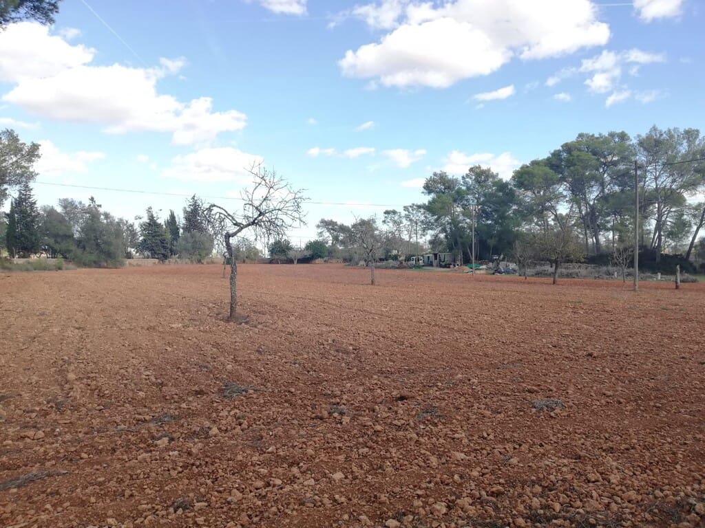 Grond te koop in Algaida - € 354.000 (Ref: 9968455)