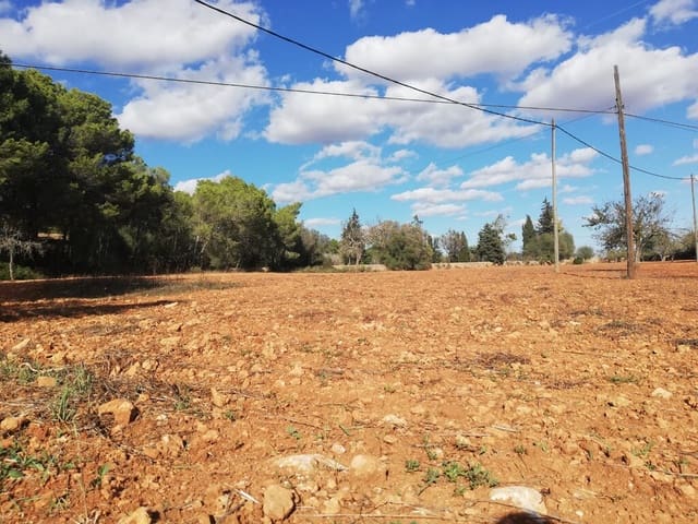 Grond te koop in Algaida - € 354.000 (Ref: 9968455)
