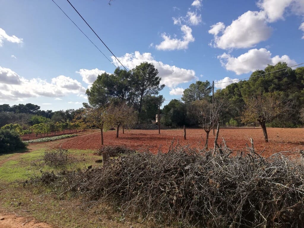 Grond te koop in Algaida - € 354.000 (Ref: 9968455)