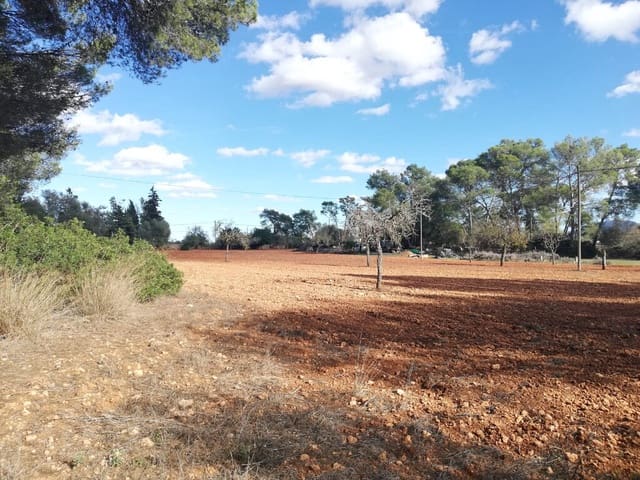 Grond te koop in Algaida - € 354.000 (Ref: 9968455)