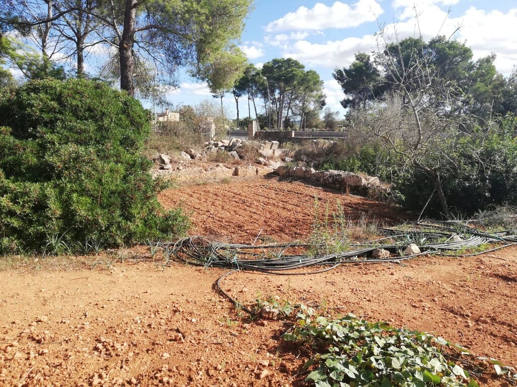 Grond te koop in Algaida - € 354.000 (Ref: 9968455)