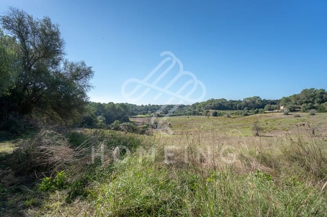 10 camera da letto Finca/Casa di Campagna in vendita in Costitx - 2.980.000 € (Rif: 9968458)