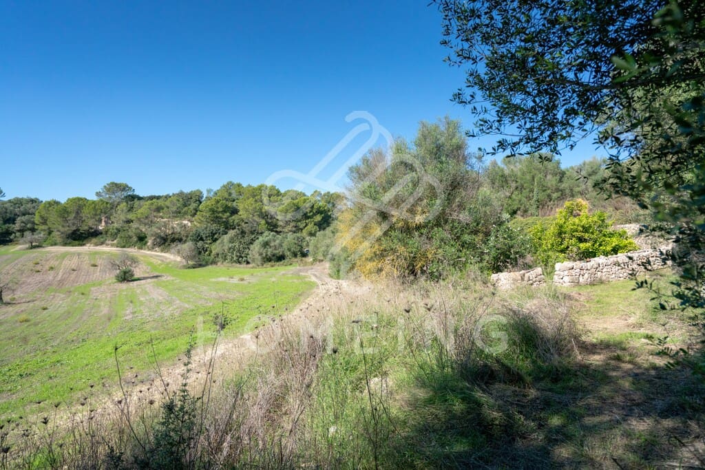 10 camera da letto Finca/Casa di Campagna in vendita in Costitx - 2.980.000 € (Rif: 9968458)