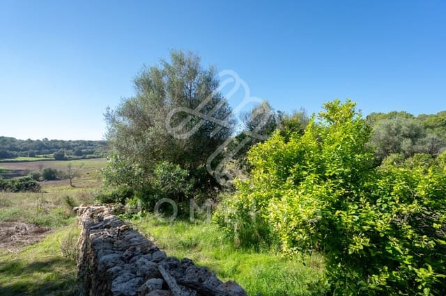10 camera da letto Finca/Casa di Campagna in vendita in Costitx - 2.980.000 € (Rif: 9968458)