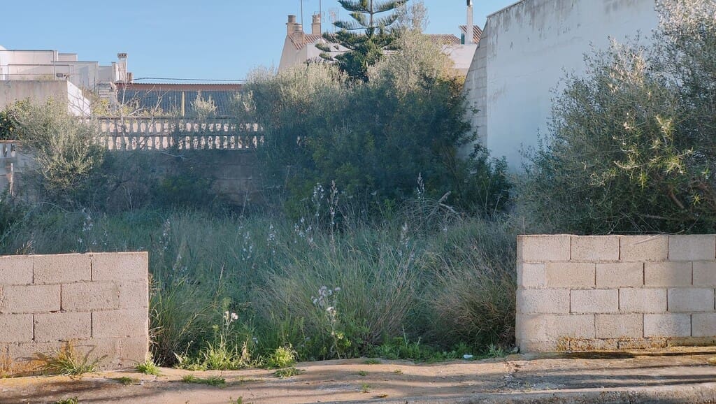 Building Plot for sale in Llucmajor - € 220,000 (Ref: 9968459)