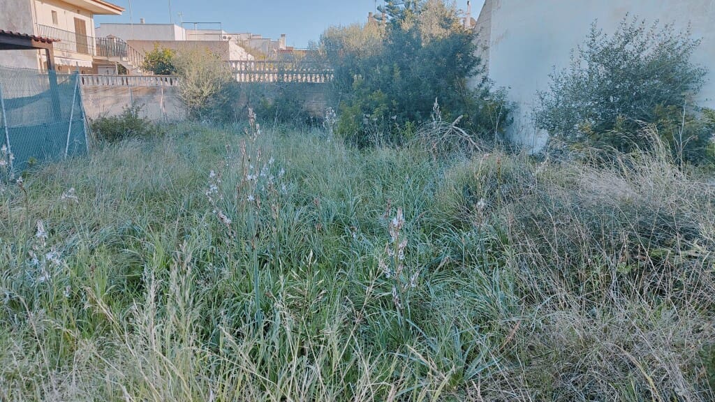 Building Plot for sale in Llucmajor - € 220,000 (Ref: 9968459)