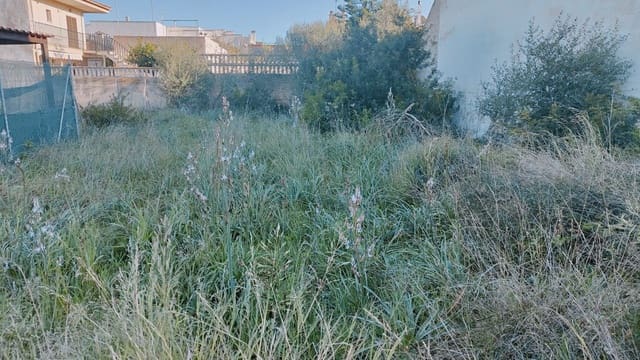 Building Plot for sale in Llucmajor - € 220,000 (Ref: 9968459)