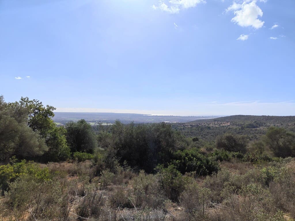 Building Plot for sale in Puntiro - € 450,000 (Ref: 9968469)