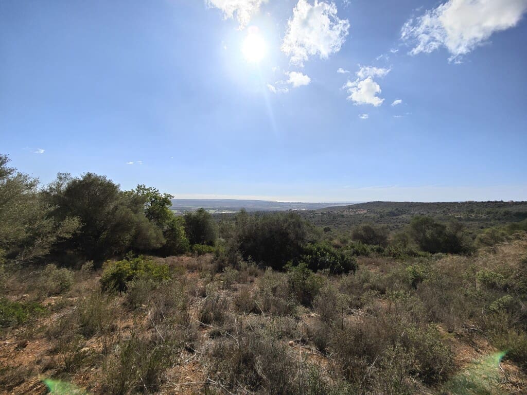 Building Plot for sale in Puntiro - € 450,000 (Ref: 9968469)