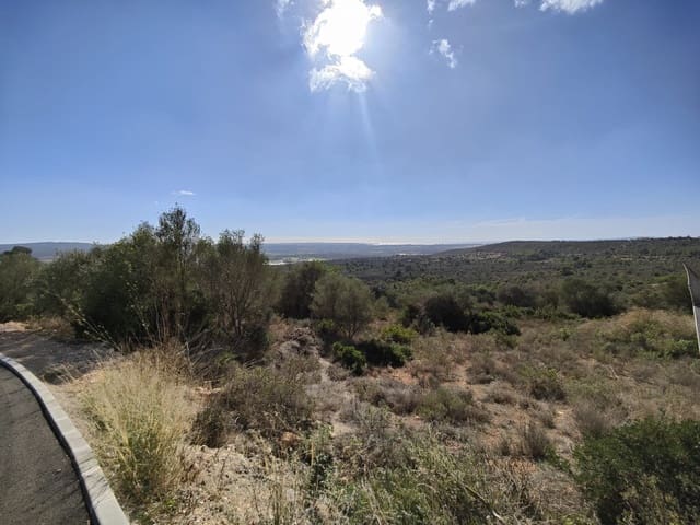 Area Edificabile in vendita in Puntiró, Palma de Mallorca - 450.000 € (Rif: 9968469)