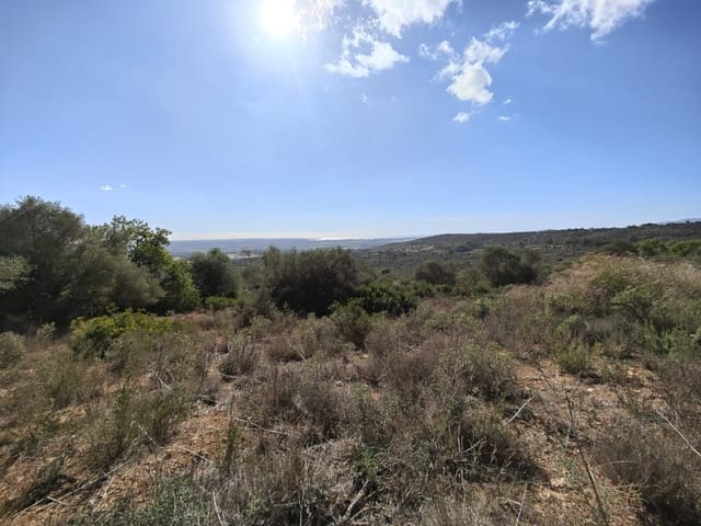 Area Edificabile in vendita in Puntiró, Palma de Mallorca - 450.000 € (Rif: 9968469)