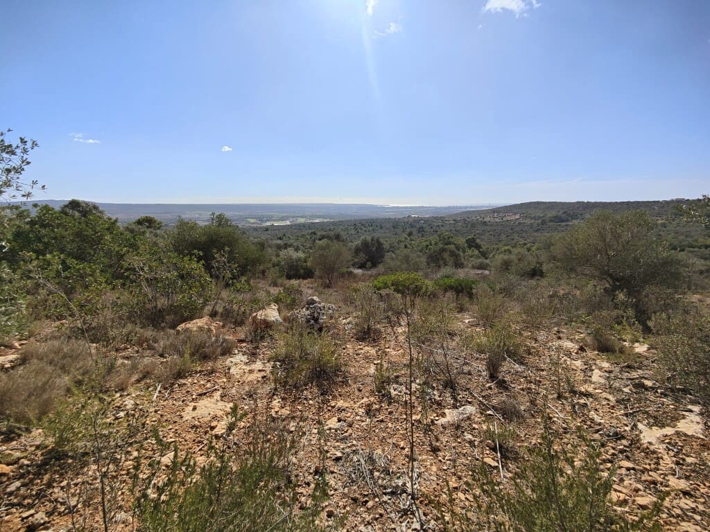 Building Plot for sale in Puntiro - € 450,000 (Ref: 9968469)