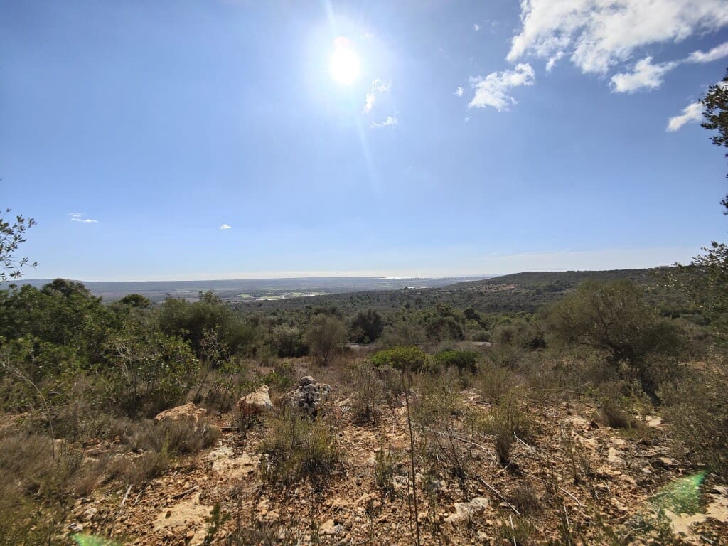 Building Plot for sale in Puntiro - € 450,000 (Ref: 9968469)