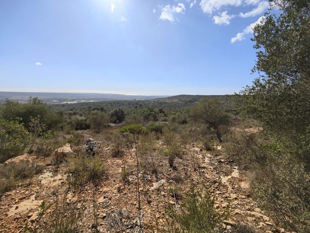 Building Plot for sale in Puntiro - € 450,000 (Ref: 9968469)