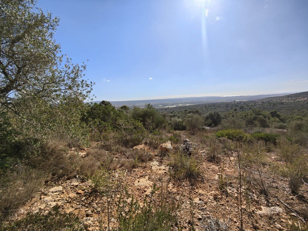 Building Plot for sale in Puntiro - € 450,000 (Ref: 9968469)