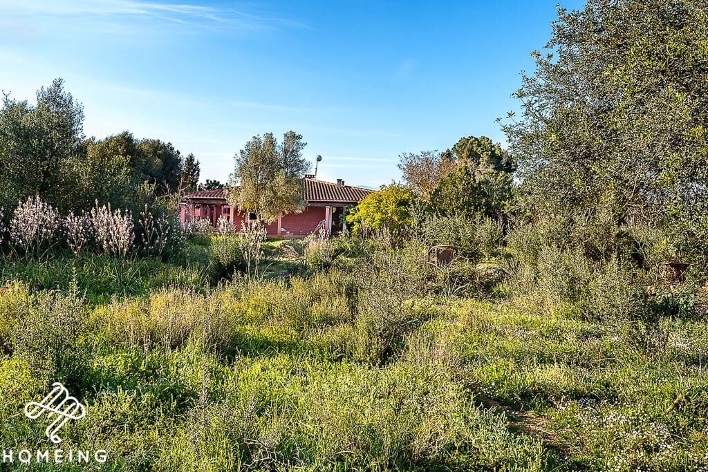 4 camera da letto Finca/Casa di Campagna in vendita in Algaida - 450.000 € (Rif: 9968472)