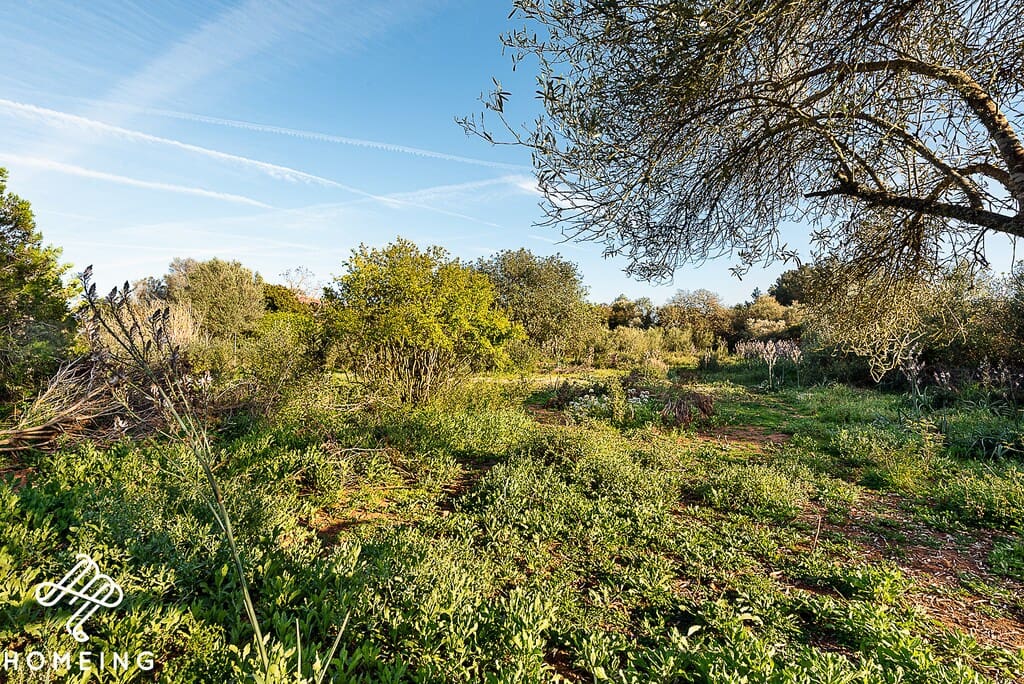 4 camera da letto Finca/Casa di Campagna in vendita in Algaida - 450.000 € (Rif: 9968472)