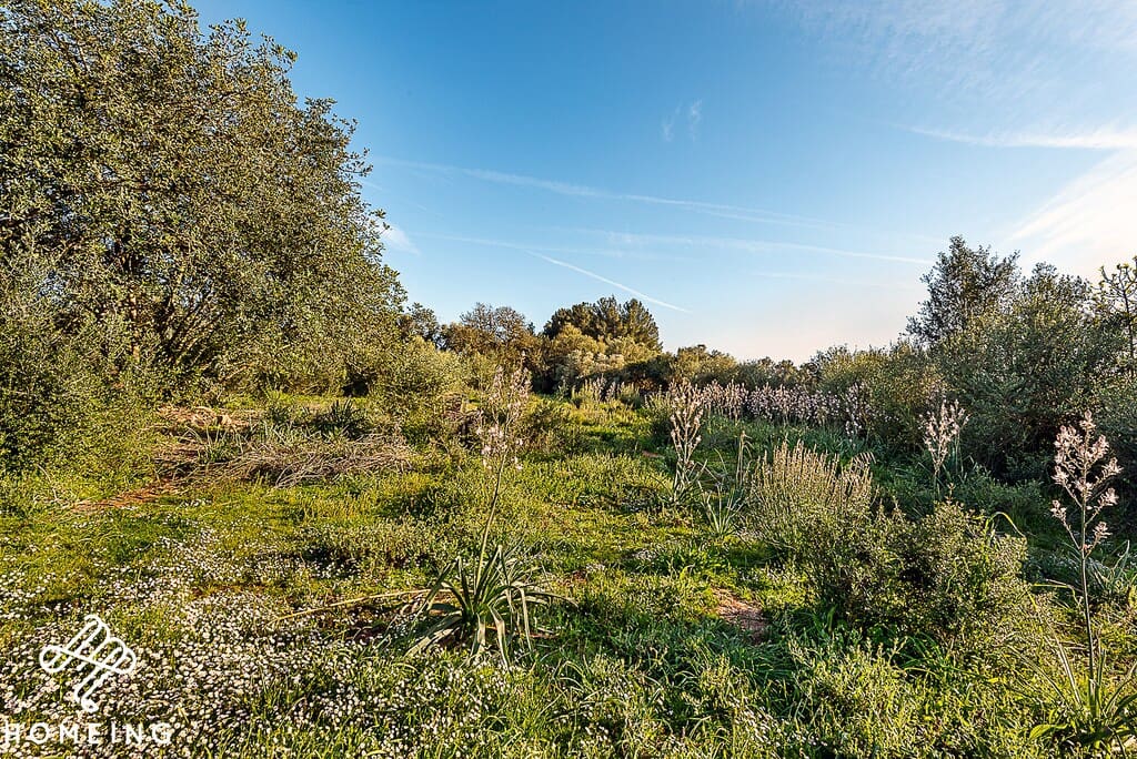 4 camera da letto Finca/Casa di Campagna in vendita in Algaida - 450.000 € (Rif: 9968472)