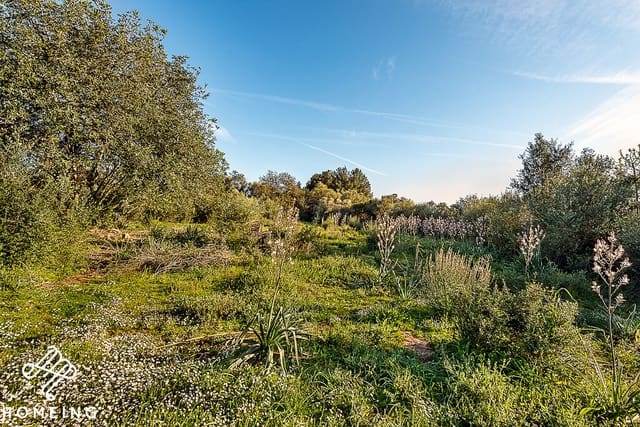 4 camera da letto Finca/Casa di Campagna in vendita in Algaida - 450.000 € (Rif: 9968472)