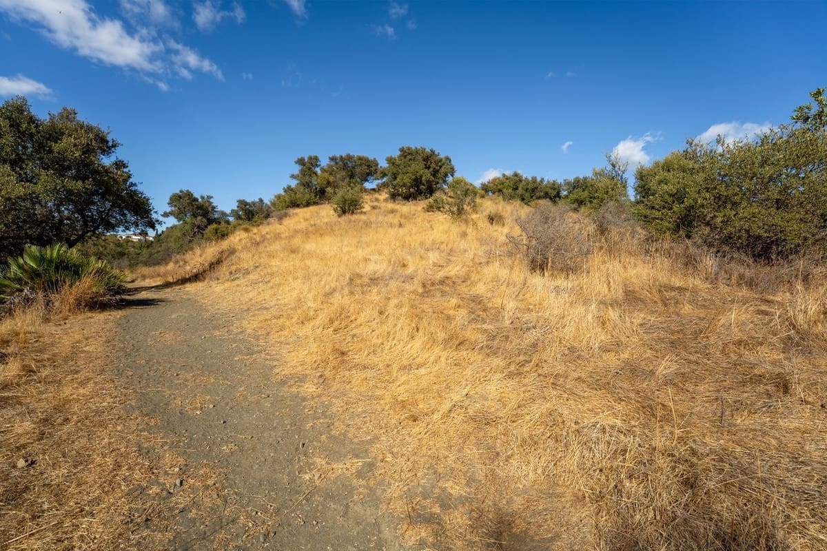 Undeveloped Land for sale in Cerro del Aguila - € 1,100,000 (Ref: 10112304)