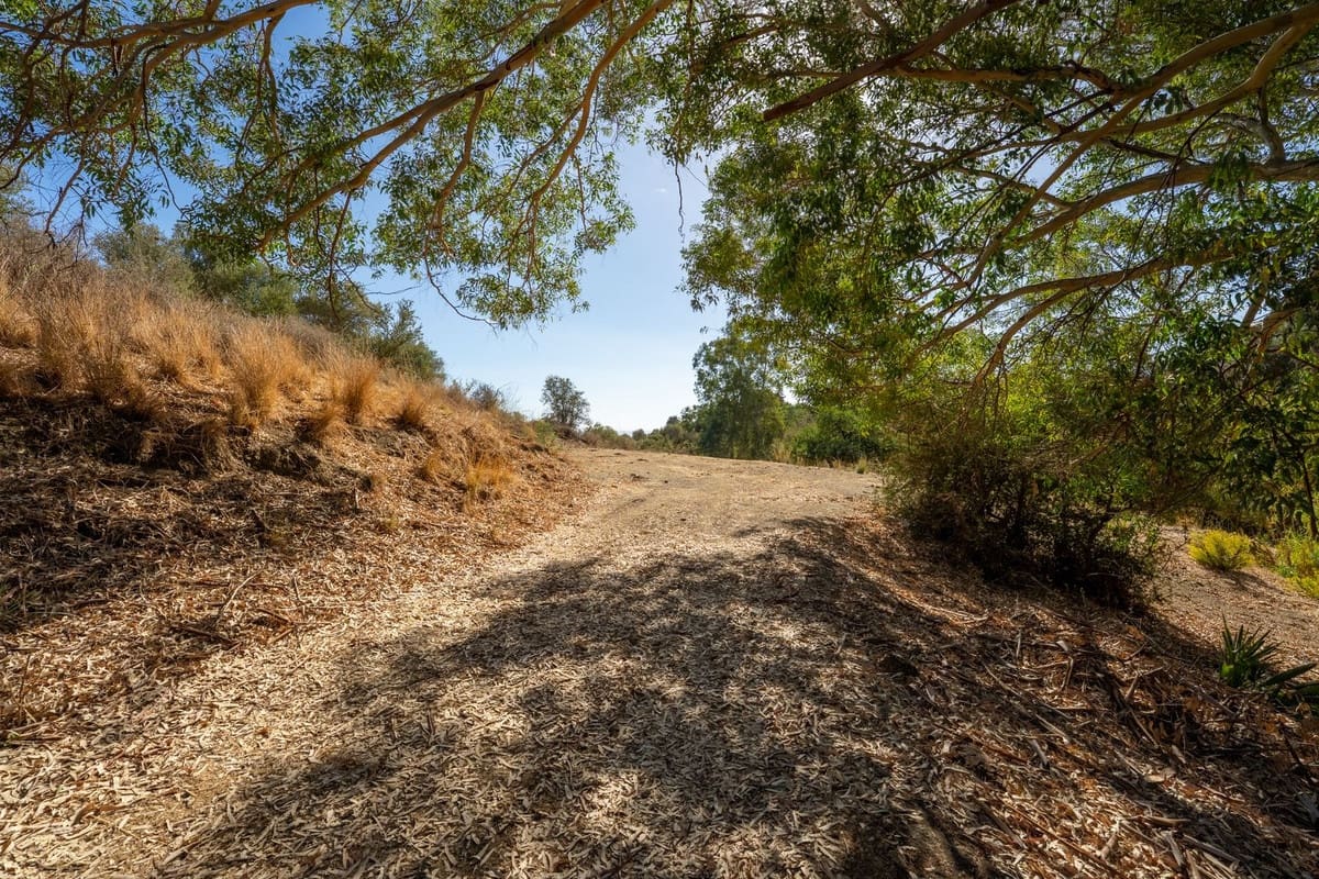 Undeveloped Land for sale in Cerro del Aguila - € 1,100,000 (Ref: 10112304)