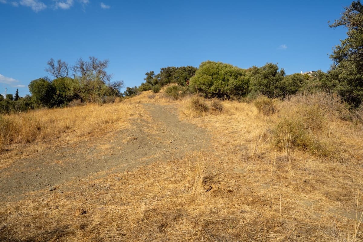 Undeveloped Land for sale in Cerro del Aguila - € 1,100,000 (Ref: 10112304)