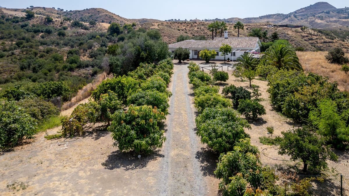 3 bedroom Finca/Country House for sale in Valtocado with pool - € 1,200,000 (Ref: 9255541)