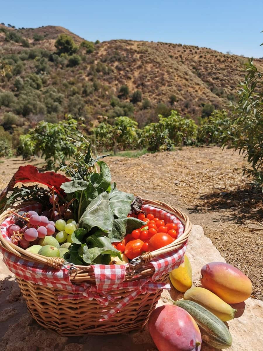 3 bedroom Finca/Country House for sale in Valtocado with pool - € 1,200,000 (Ref: 9255541)