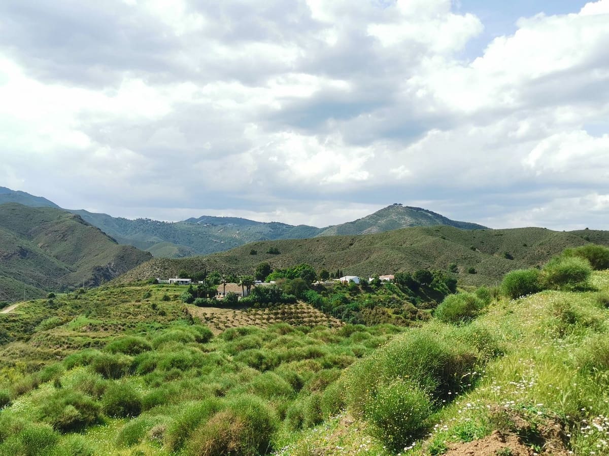 3 bedroom Finca/Country House for sale in Valtocado with pool - € 1,200,000 (Ref: 9255541)