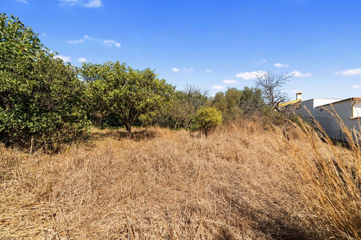 3 bedroom Villa for sale in Entrerrios with pool - € 390,000 (Ref: 9495296)