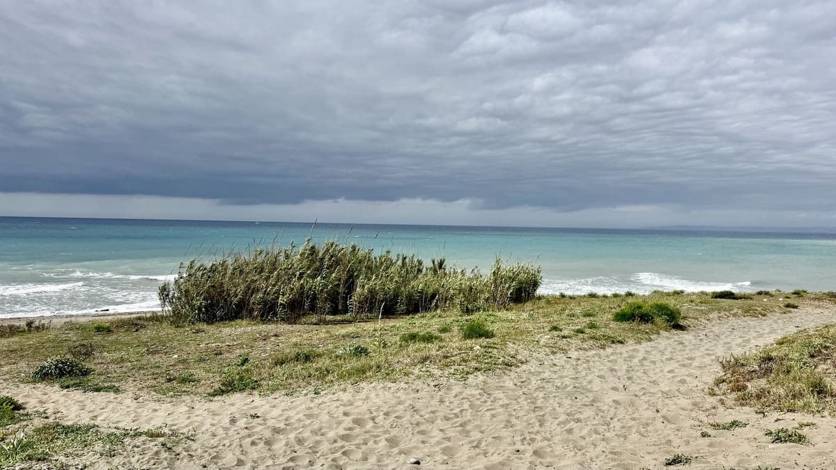 5 bedroom Villa for sale in Cancelada with pool - € 2,400,000 (Ref: 9805442)