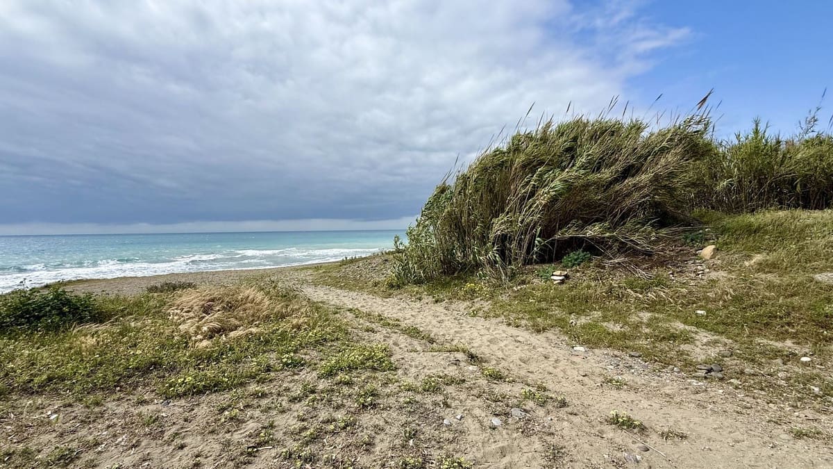 5 bedroom Villa for sale in Cancelada with pool - € 2,400,000 (Ref: 9805442)