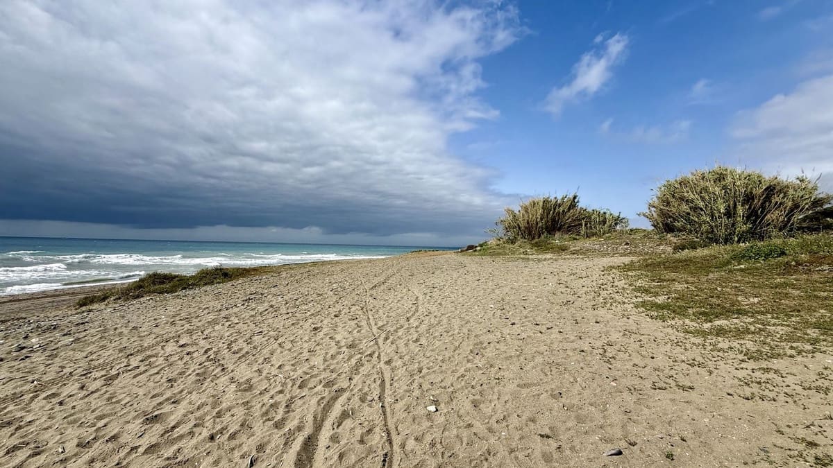 5 bedroom Villa for sale in Cancelada with pool - € 2,400,000 (Ref: 9805442)