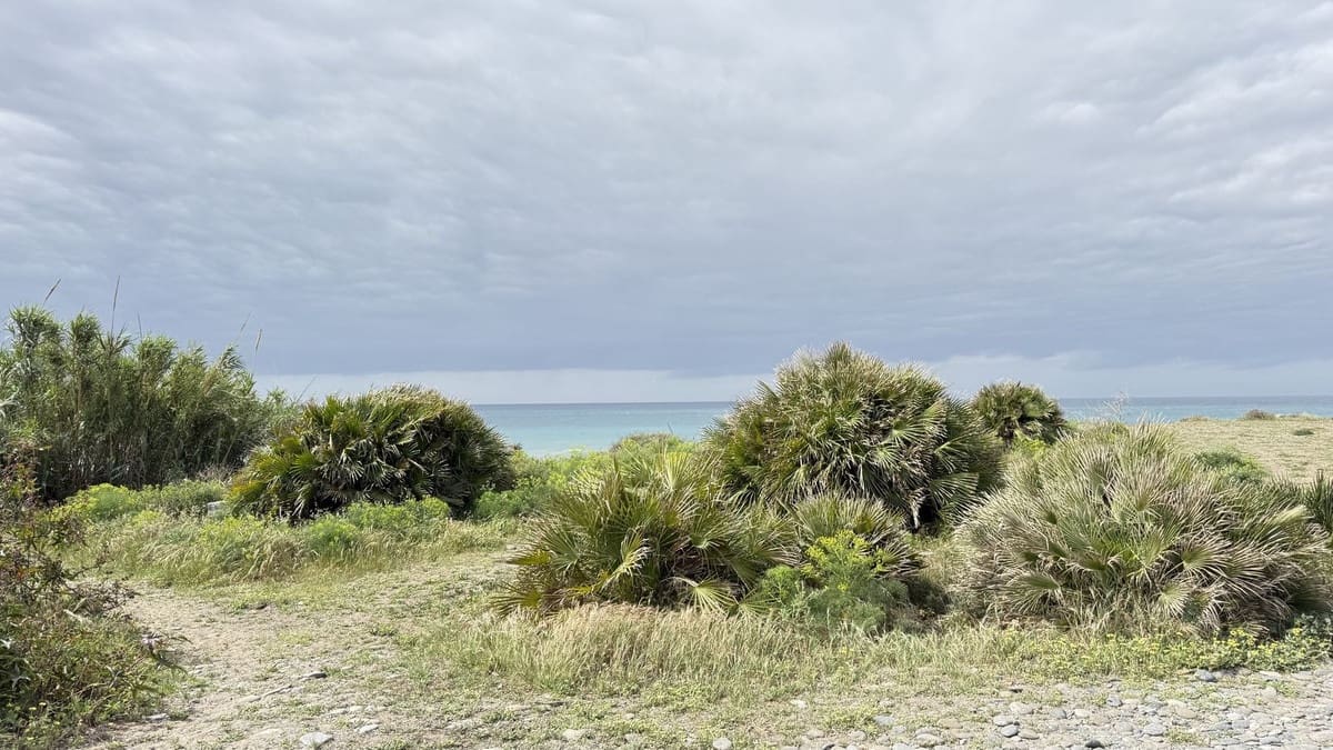 5 bedroom Villa for sale in Cancelada with pool - € 2,400,000 (Ref: 9805442)