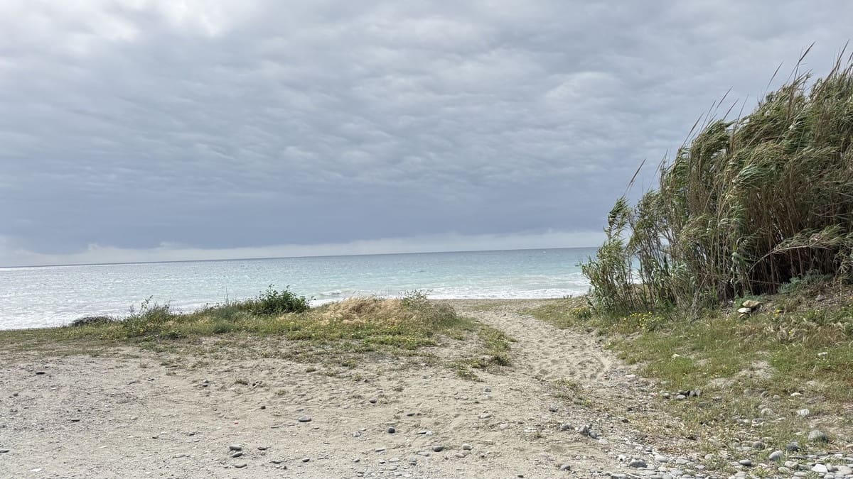 5 bedroom Villa for sale in Cancelada with pool - € 2,400,000 (Ref: 9805442)