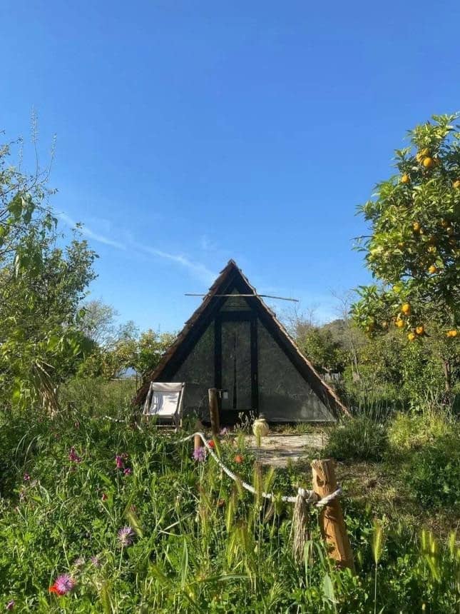 7 slaapkamer Finca/Landhuis te koop in Monda met zwembad - € 1.190.000 (Ref: 9805444)