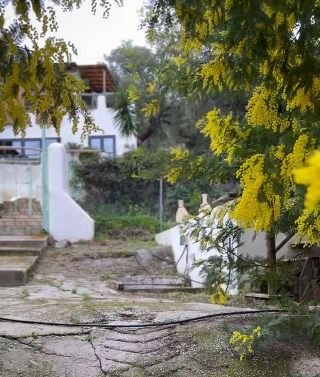 7 slaapkamer Finca/Landhuis te koop in Monda met zwembad - € 1.190.000 (Ref: 9805444)