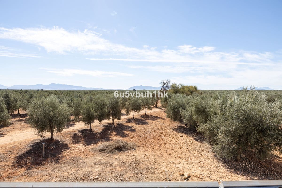 7 Zimmer Villa zu verkaufen in Sierra de Yeguas mit Pool - 875.000 € (Ref: 9807158)